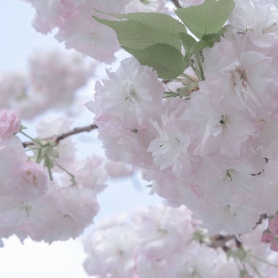 兽设火山场景设计FurryQQ群